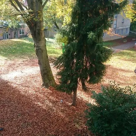 Colorful Center - Parking Available Apartment Laibach